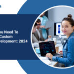Everything You Need To Know About Custom Software Development: 2024
